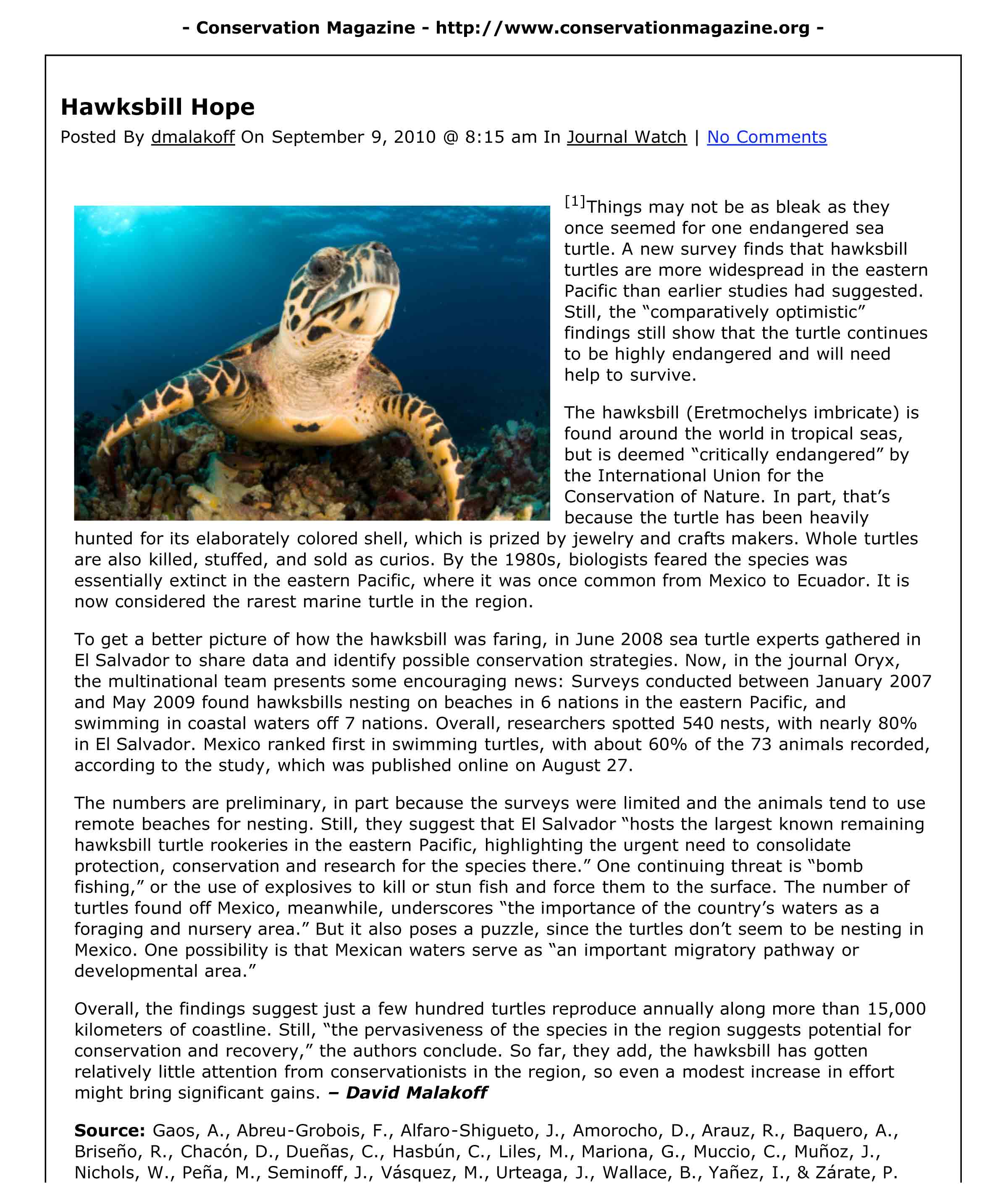 My Image 31